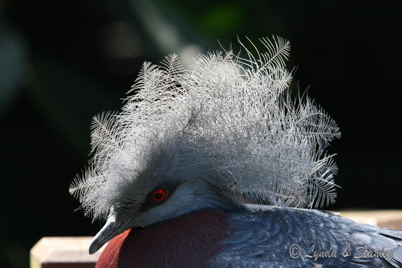 2008-03-02 11-57-27