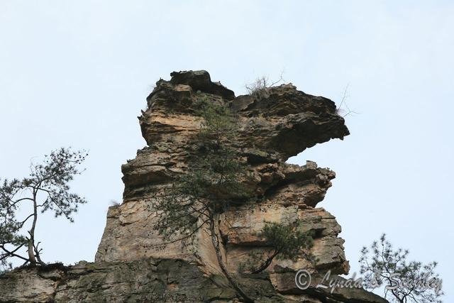 天波府