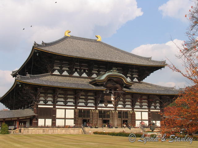 東大寺の国宝「大仏殿（金堂）」