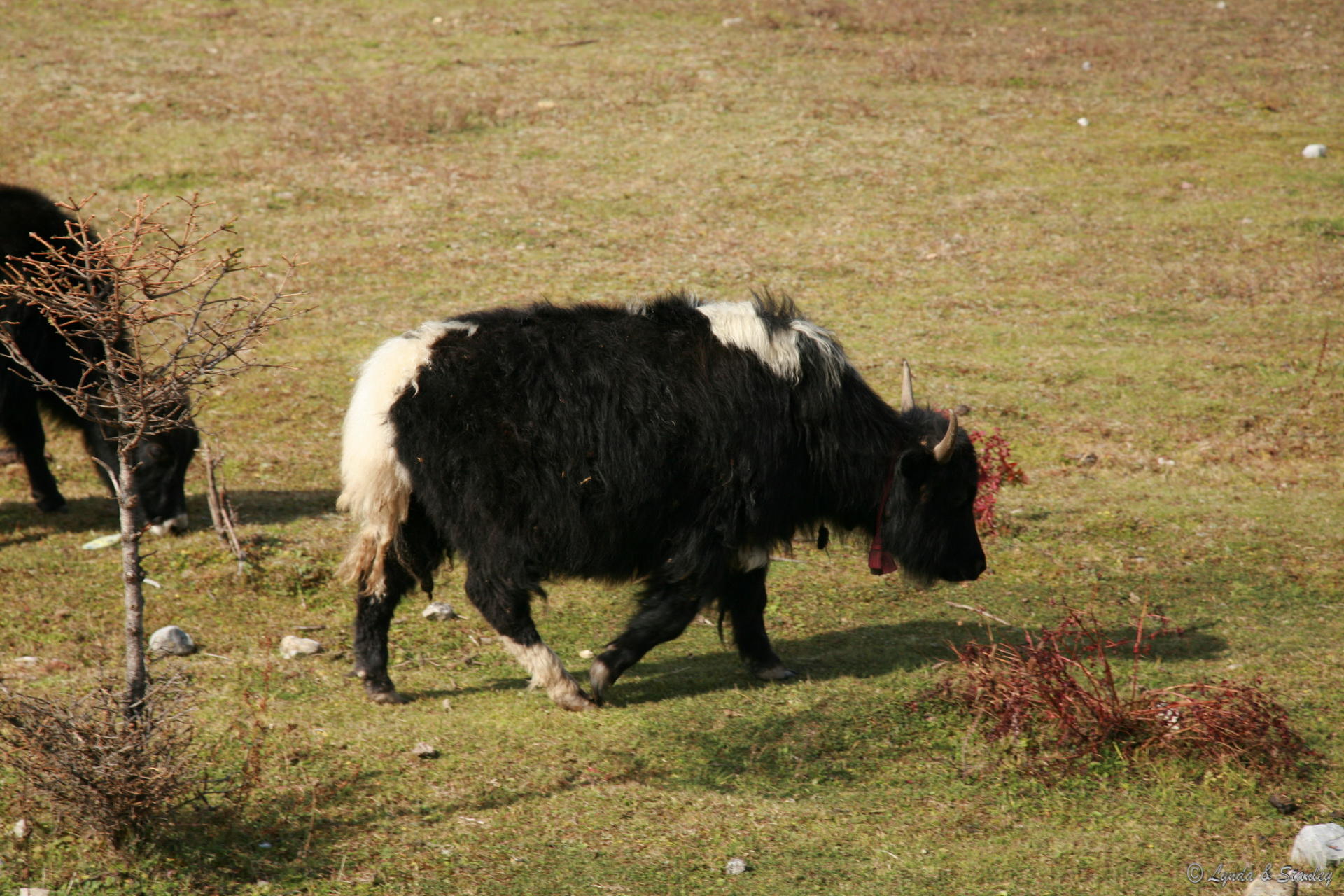 2009-10-21 10-39-37.JPG