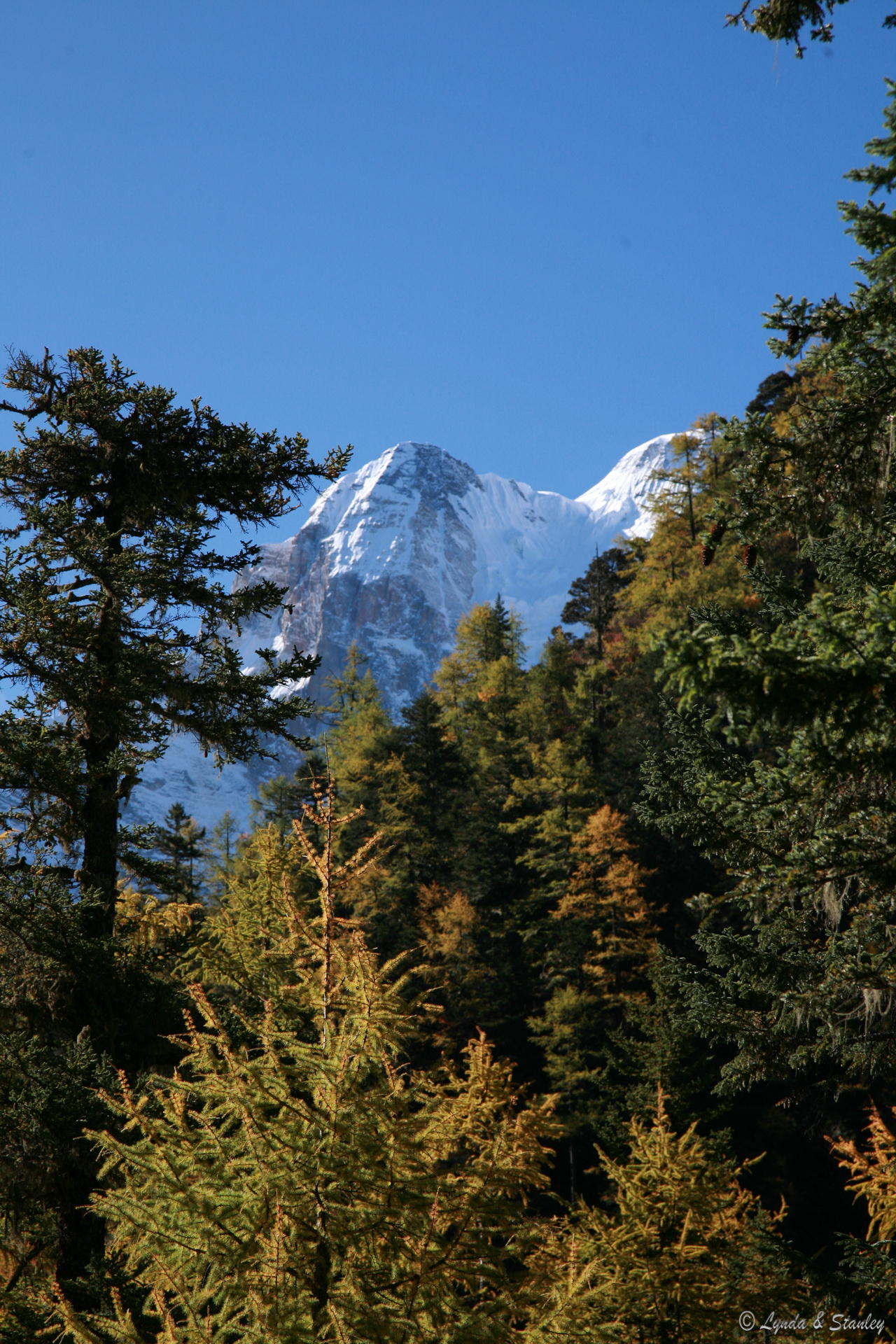 2009-10-16 10-19-57.JPG