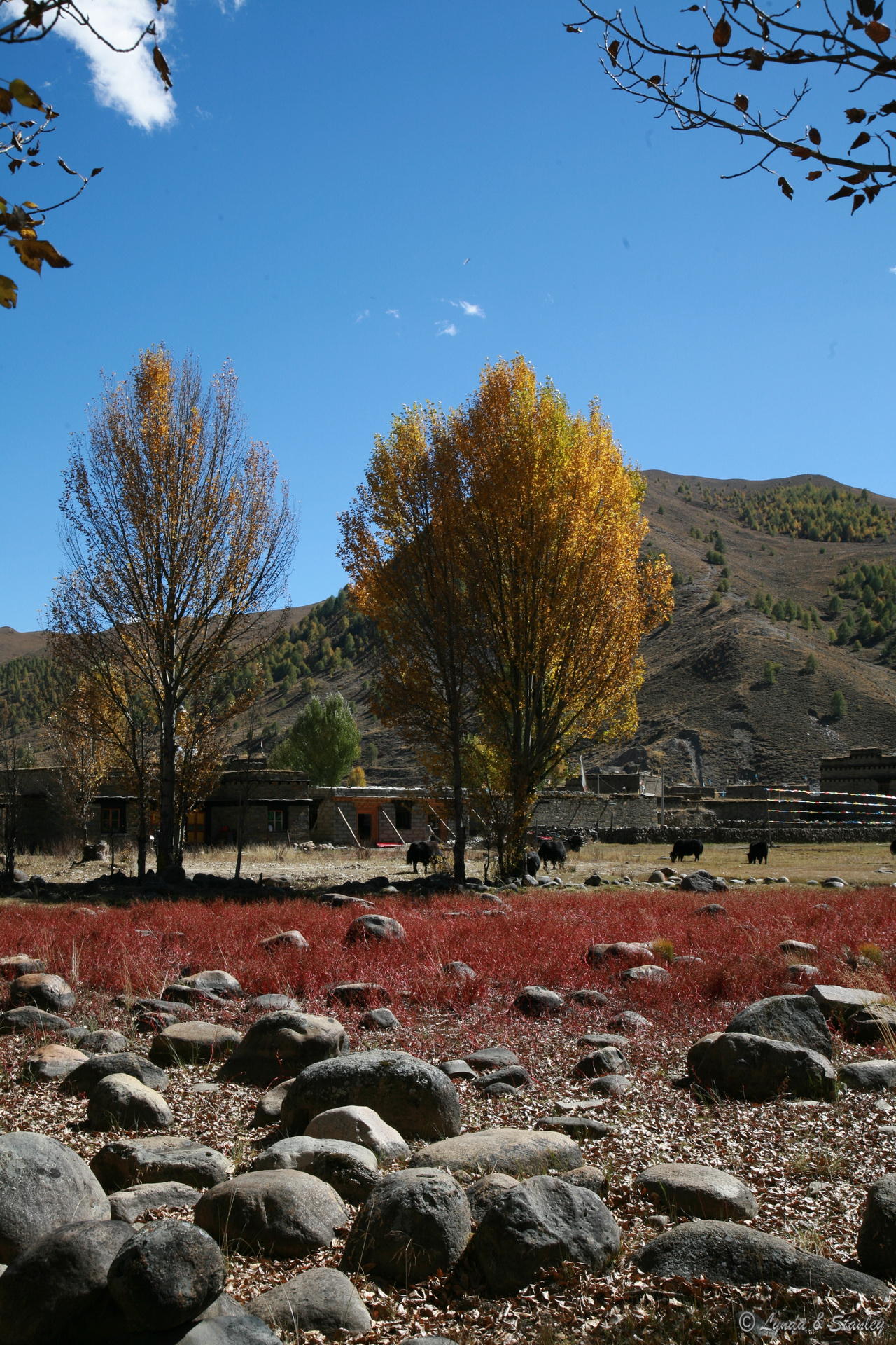 2009-10-17 14-39-00.JPG
