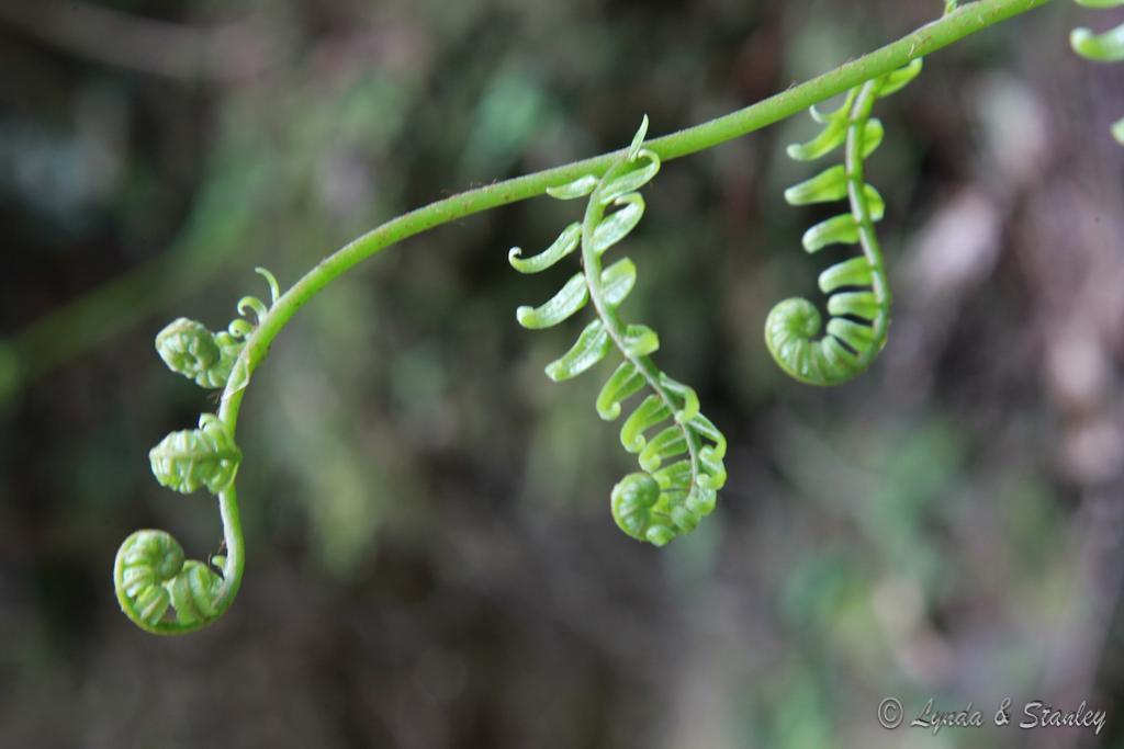 2012-03-25 14-05-02