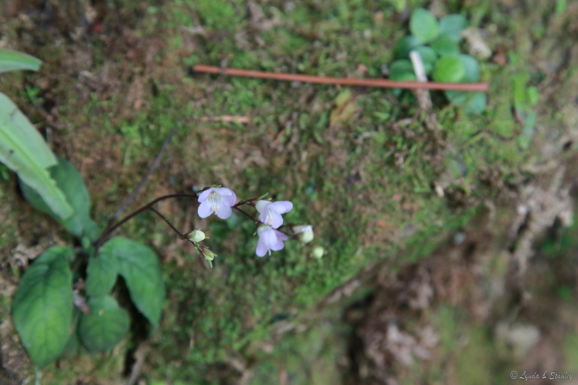 2012-03-25 14-10-41